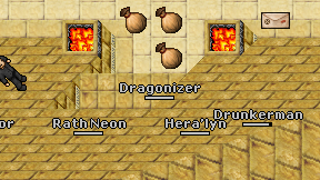 Dragonizer on screen