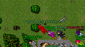 Pappa Benkrossare on screen