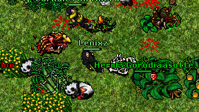 Lenixz on screen