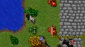 Prycorn on screen