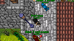 Pel'son on screen