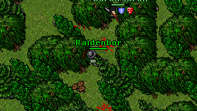 Raidenbor on screen