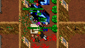 Sapr on screen