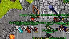 Magic Master Druid on screen