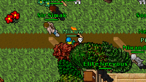 Mikuw on screen