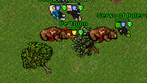 Pe'thion on screen