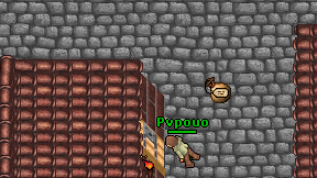 Pvpouo on screen