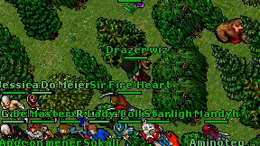 Drazer wiz on screen