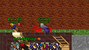 Gnash on screen