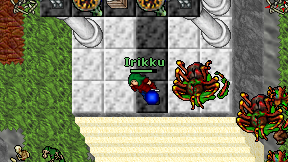Irikku on screen