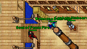 Waleczna Damroka on screen