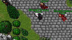 Druid Pirata on screen