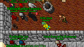 Niejus on screen