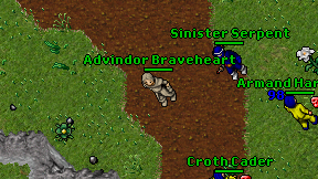 Advindor Braveheart on screen