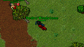 Pedro'Windstone on screen