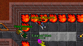Feifna Wizard on screen