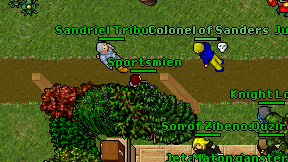 Sportsmien on screen