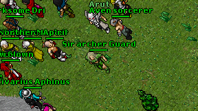 Sir archer Guard on screen