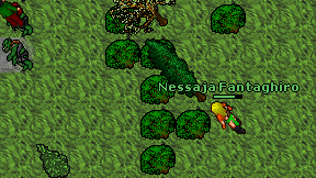 Nessaja Fantaghiro on screen