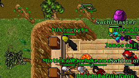 Mis zorryta on screen