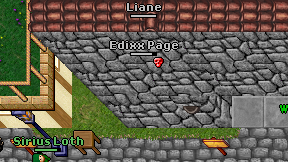 Edixx Page on screen