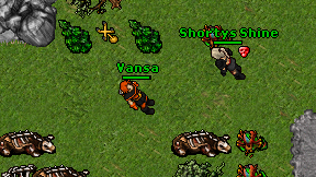 Vansa on screen