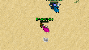 Knuwbiis on screen