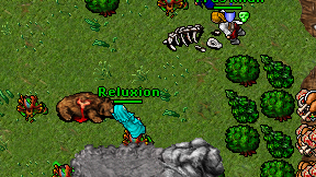 Reluxion on screen
