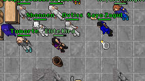 Elite Kira on screen