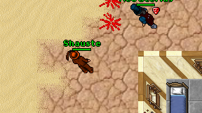Shauste on screen