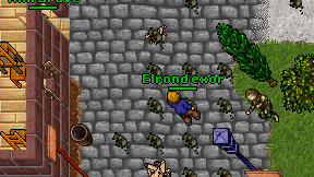 Elrond exor on screen