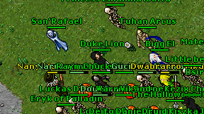 Duke Lion on screen