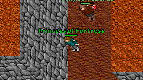 Princess of Fortress on screen