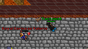 Taco swat on screen