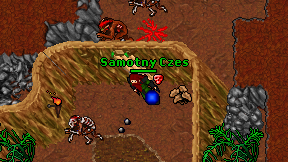 Samotny Czes on screen