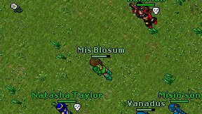 Mis Blosum on screen