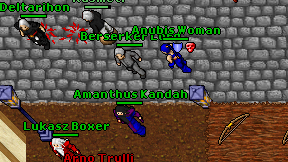 Berserker Lord on screen