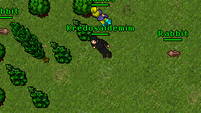 Kredosaidemim on screen