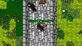 Night Paladyn on screen