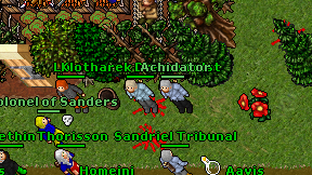 Achidator on screen