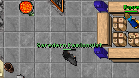 Saredern Kamionvist on screen