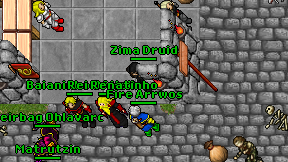 Zima Druid on screen