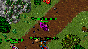 Wynd Runner on screen