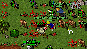 Buczolek on screen