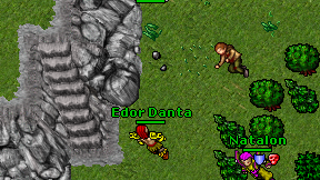 Edor Danta on screen