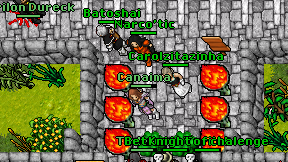 Narco'tic on screen