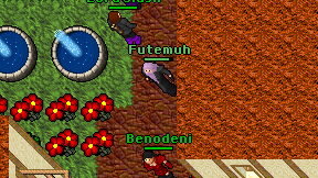 Futemuh on screen