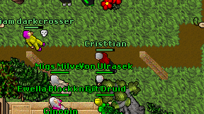 Cristtian on screen
