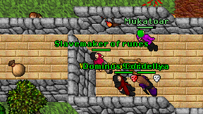 Slavemaker of runes on screen