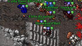 Elite Brautgh on screen